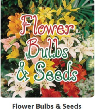 Flower Bulbs And Seeds